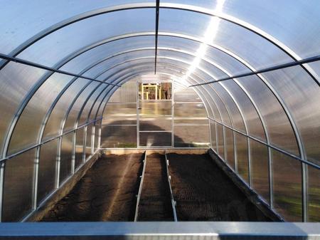 Семья Зверевых