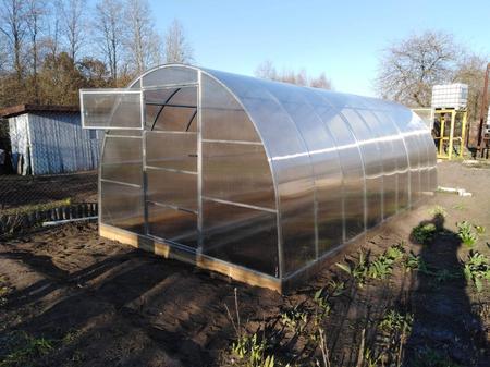 Семья Зверевых