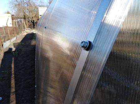 Семья Зверевых