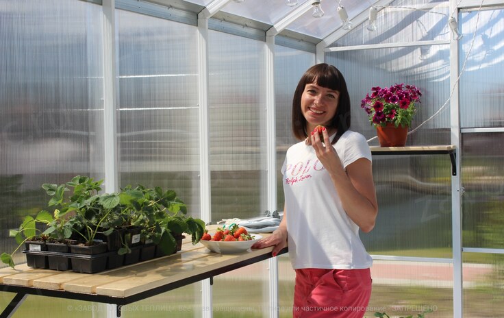 Girl with berries in the greenhouse