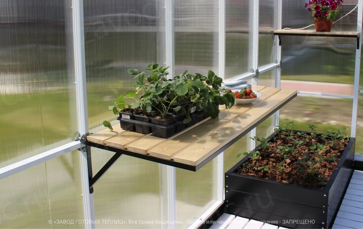 Hanging table for a greenhouse with seedlings