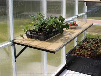 Hanging table for a greenhouse with seedlings