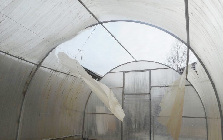 Greenhouse boned polycarbonate