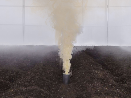 Comprobador de azufre: ¡destruye el invernadero! Las consecuencias del uso de fichas de azufre.