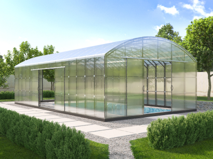 Greenhouses 4, 5 and 6 meters wide, why buy?