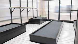 Steel beds