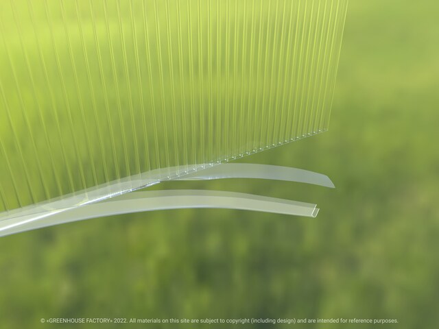 Schutzband + UP-Profil