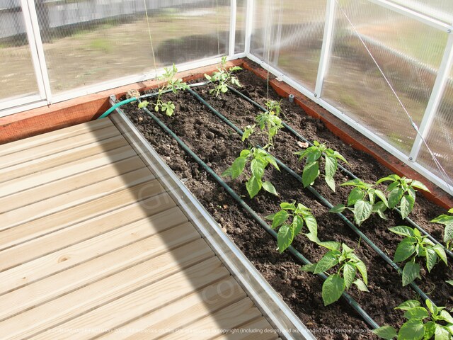 Automatisches Fenster