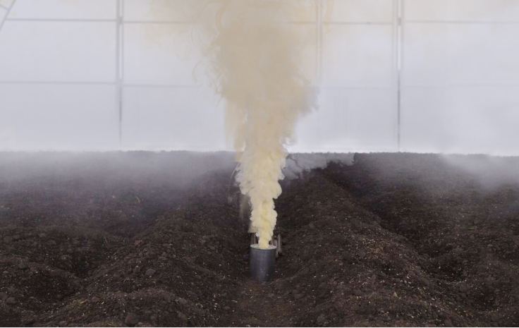 Серная шашка в теплице